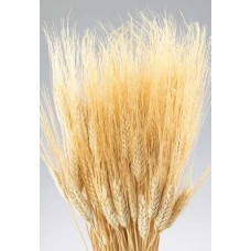 WHEAT Natural 30" (BULK)- OUT OF STOCK